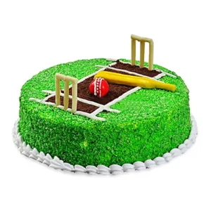 Cricket Lover Kids Cake Copy