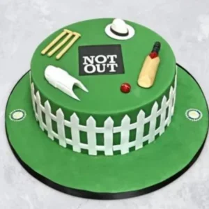 Cricket theme cake